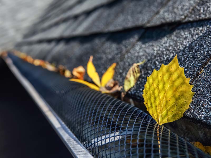 Gutter Guards